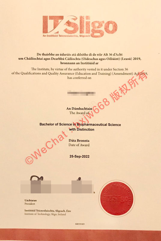 爱尔兰西北部科技先驱：斯莱戈理工学院办学成效与毕业证范本文献研究 (Institute of Technology, Sligo)