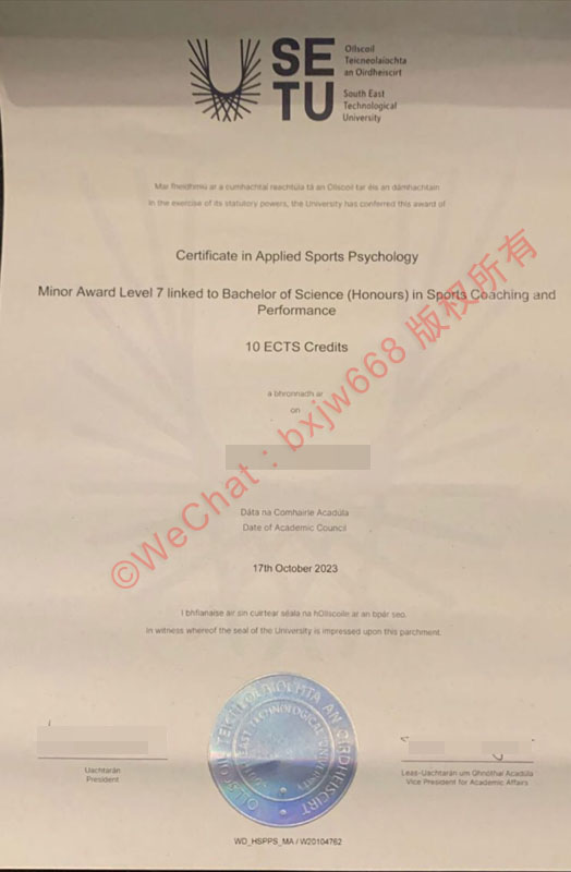 东南理工大学战略定位与当代毕业证书学位文书排版演变研究 (South East Technological University)