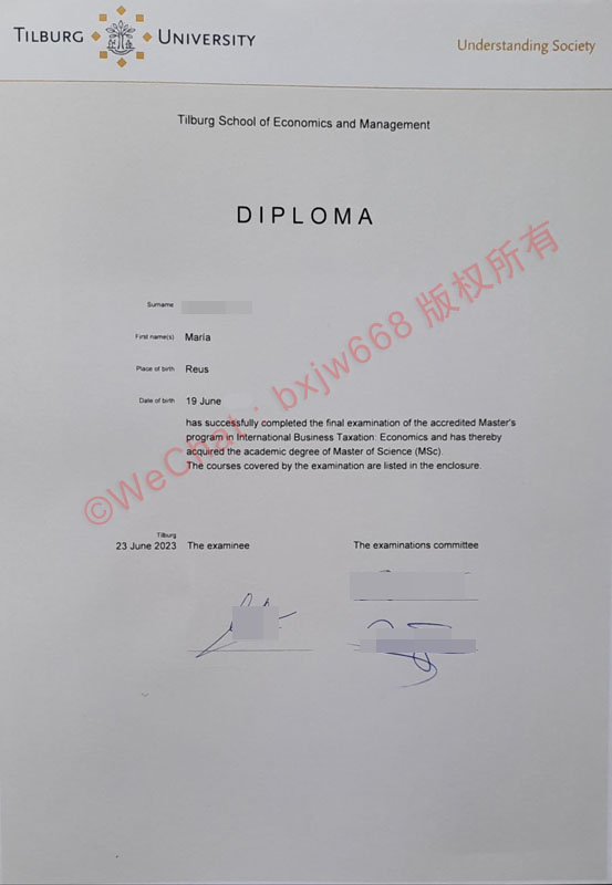 荷兰蒂尔堡大学毕业证样本与学校介绍 | Tilburg University（商科名校规范）