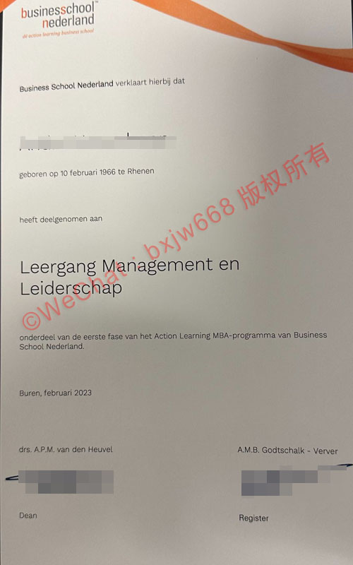 荷兰商学院（Business School Netherlands）毕业证书样本视觉特征与行动学习法介绍