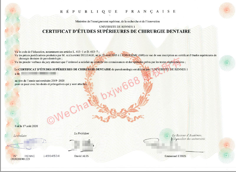 雷恩第一大学毕业证（Université de Rennes 1 Diplôme）