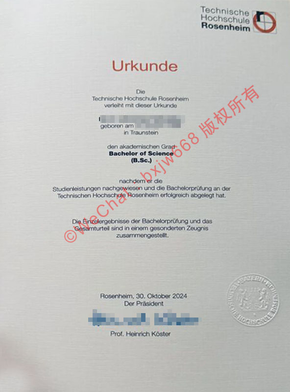 罗森海姆技术大学毕业证（Technische Hochschule Rosenheim diploma）