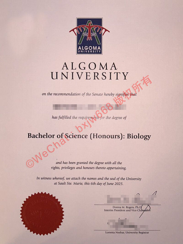 阿尔哥玛大学毕业证（Algoma University diploma）