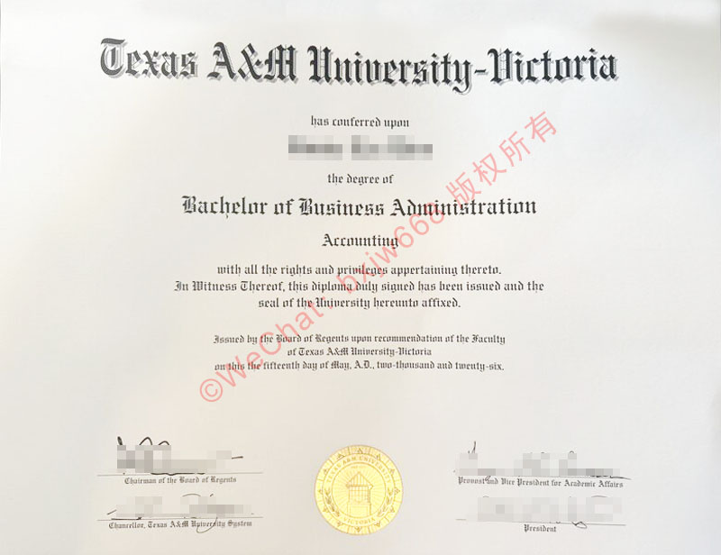 德克萨斯A&M大学维多利亚分校毕业证 (Texas A&M University-Victoria Diploma) 视觉特征与会计专业学术价值解析