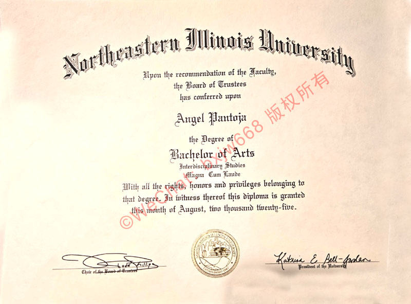 东北伊利诺伊大学毕业证（NEIU Diploma Diploma / Degree Certificate）拆解版面特征与浮雕印章工艺